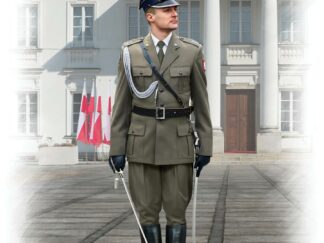 Model ICM -Polish Regiment Representative Officer o kodzie produktu 16010.